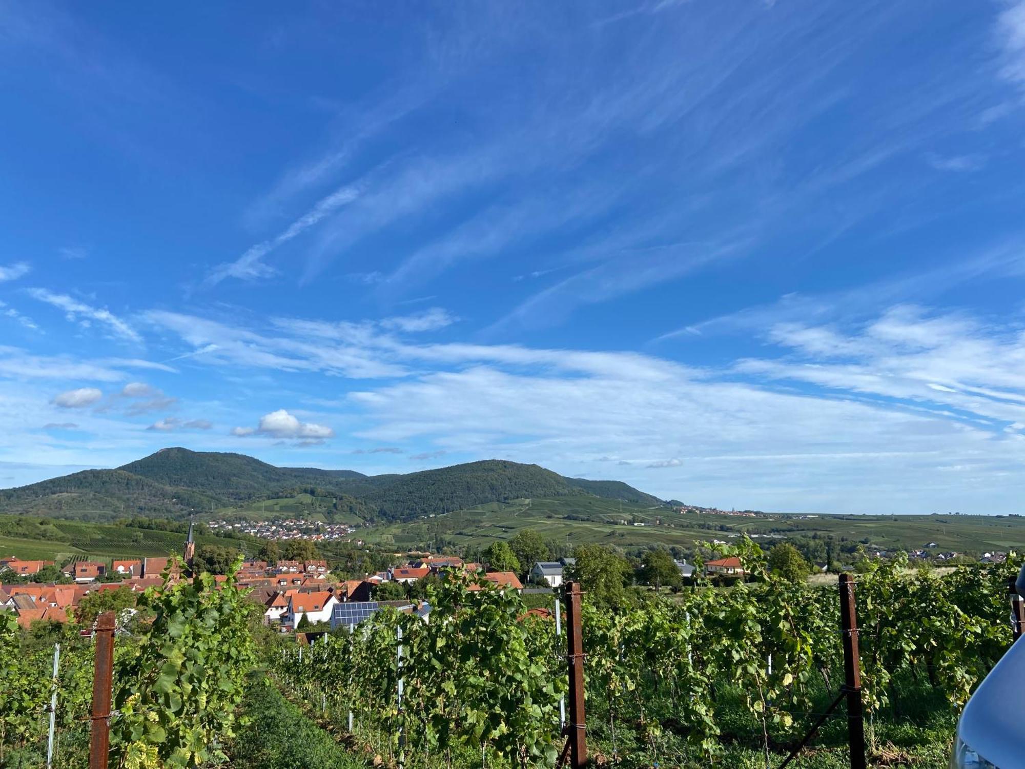 Toms Ferienhuette Apartment Annweiler am Trifels Bagian luar foto