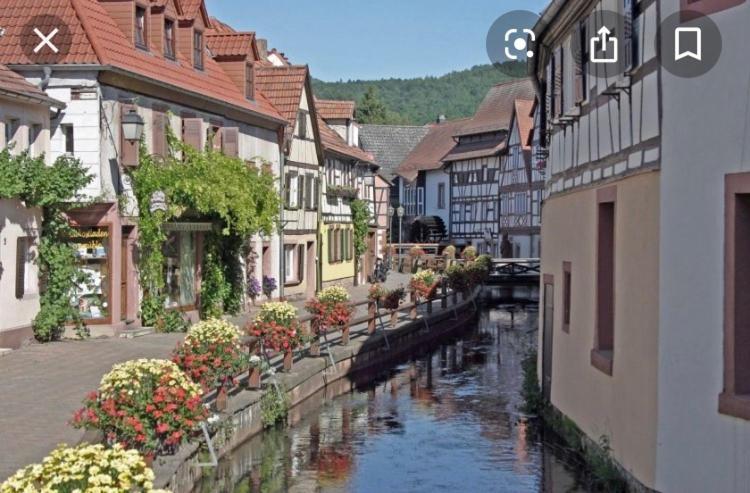 Toms Ferienhuette Apartment Annweiler am Trifels Bagian luar foto